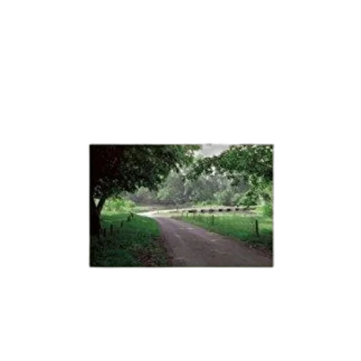 tree, animal, robot, crown, photorealistic, 3d render, forest, fog transparent PNG cut-out
