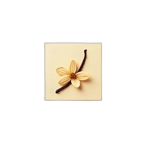 flower, jewelry, staff, crown transparent PNG cut-out