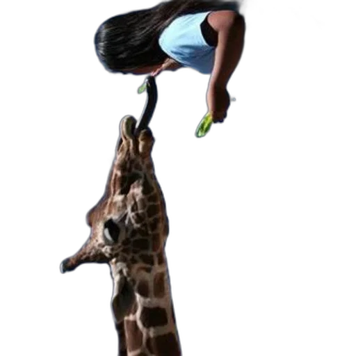animal, staff, creature, concept art, 3d render, giraffe, reaches, take transparent PNG cut-out
