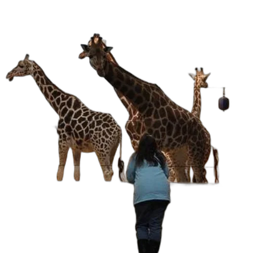 animal, staff, creature, concept art, 3d render, person, blue, jacket transparent PNG cut-out