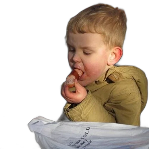 food, photorealistic, 3d render, young, boy, eating, hot, dog transparent PNG cut-out