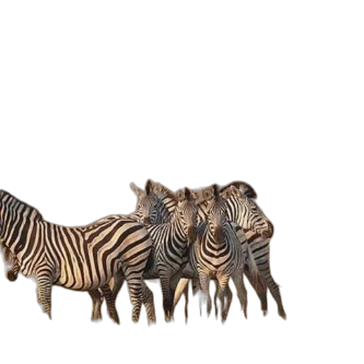 animal, creature, weapon, dragon, 3d render, photorealistic, concept art, fantasy art transparent PNG cut-out