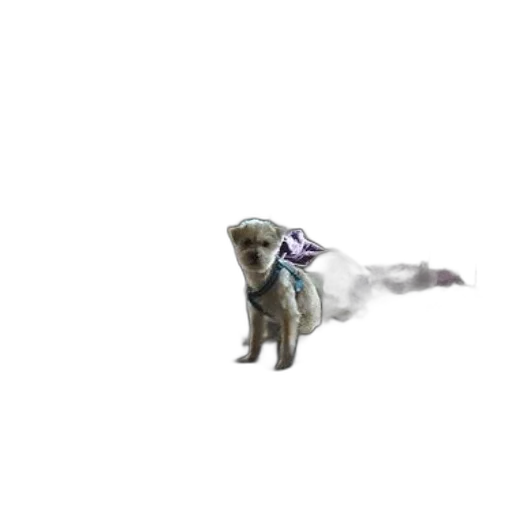 creature, animal, dragon, staff, concept art, pixel art, 3d render, photorealistic transparent PNG cut-out