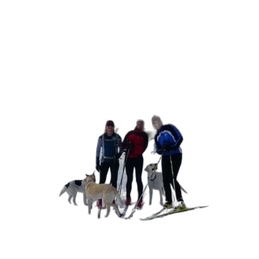 staff, animal, creature, jacket, 3d render, concept art, pixel art, photorealistic transparent PNG cut-out