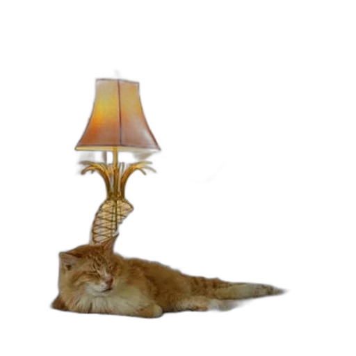 furniture, staff, animal, hat, 3d render, photorealistic, concept art, cozy transparent PNG cut-out
