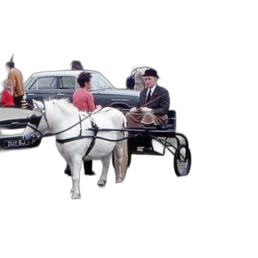 car, staff, animal, photorealistic, concept art, 3d render, city street, man transparent PNG cut-out