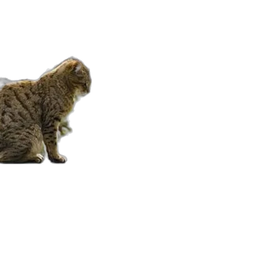 animal, staff, creature, weapon, 3d render, photorealistic, concept art, pixel art transparent PNG cut-out