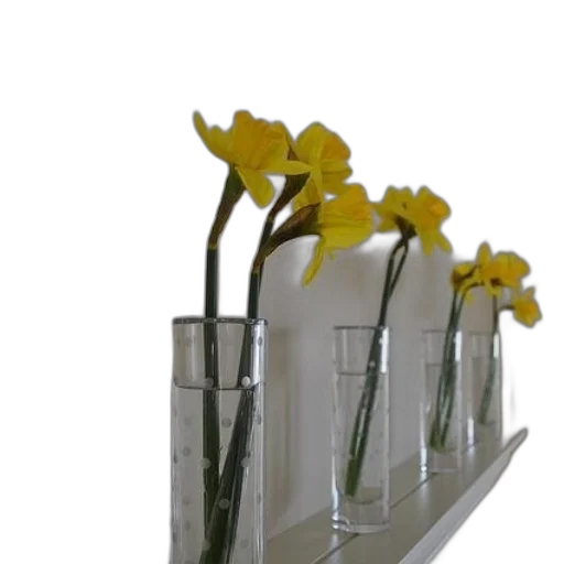 furniture, flower, crown, 3d render, photorealistic, four, yellow, flowers transparent PNG cut-out