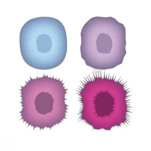 flower, hair, crown, animal, concept art, 3d render, maligned, how transparent PNG cut-out