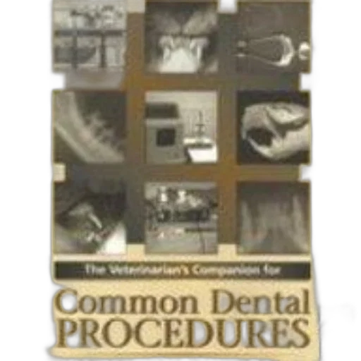 cover, veterinarian, companion, common, dental, procedures, features, collage transparent PNG cut-out