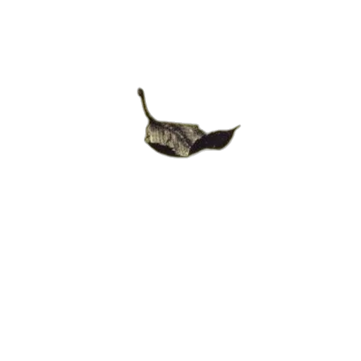 hat, shoes, mask, staff, photorealistic, 3d render, concept art, pixel art transparent PNG cut-out