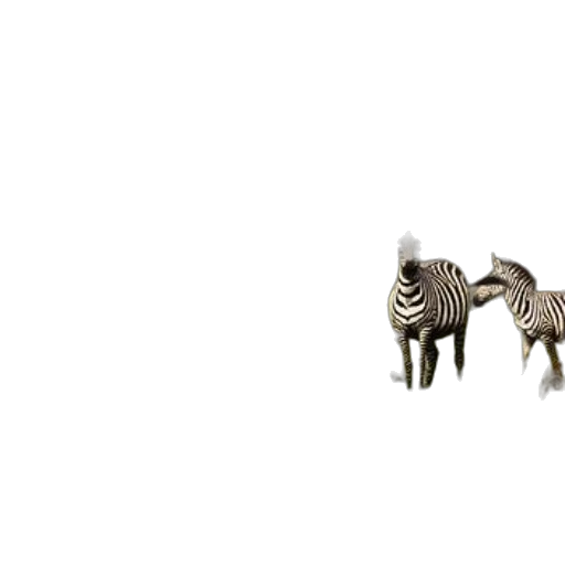animal, creature, furniture, jewelry, 3d render, concept art, photorealistic, monochrome transparent PNG cut-out