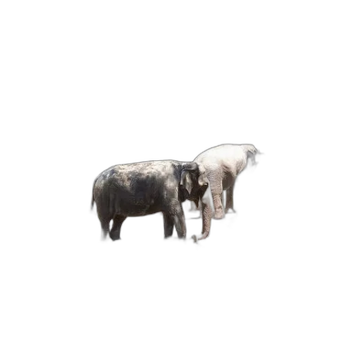 animal, creature, furniture, weapon, 3d render, concept art, photorealistic, pixel art transparent PNG cut-out