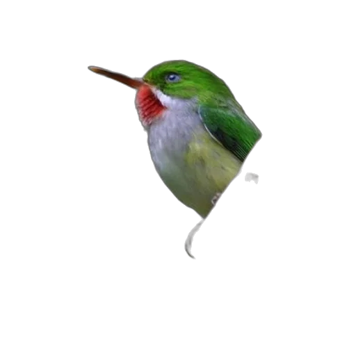 animal, staff, hat, creature, 3d render, photorealistic, concept art, pixel art transparent PNG cut-out