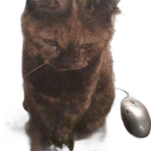 staff, animal, creature, jewelry, photorealistic, 3d render, pixel art, cat transparent PNG cut-out