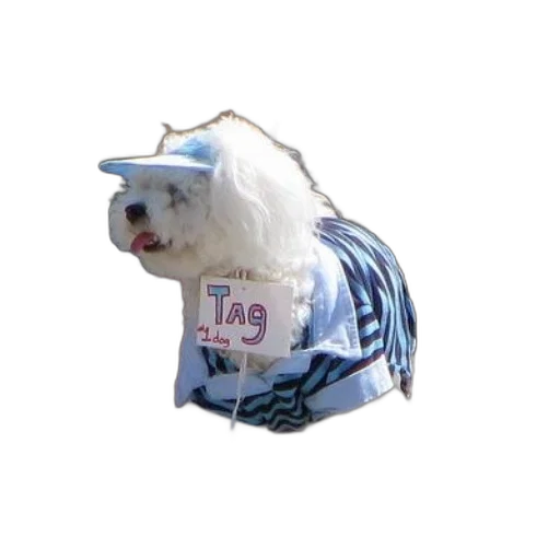 jacket, hat, animal, creature, vaporwave, 3d render, photorealistic, small transparent PNG cut-out