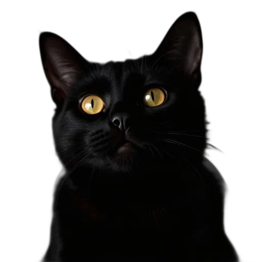 animal, face, staff, creature, photorealistic, 3d render, pixel art, concept art transparent PNG cut-out