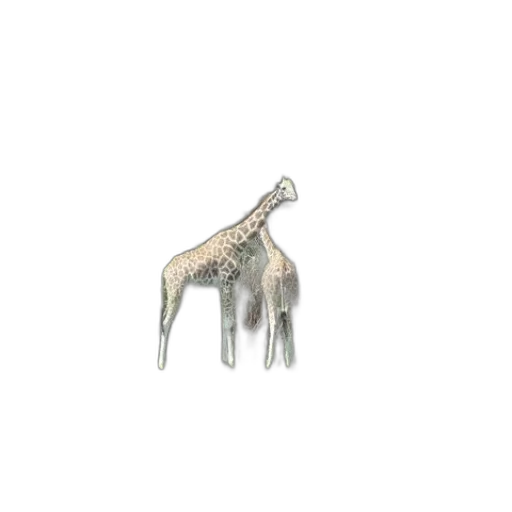 jewelry, animal, staff, furniture transparent PNG cut-out