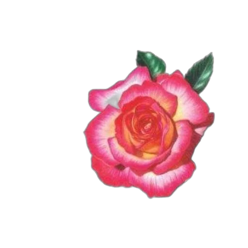 flower, crown, jewelry, staff, photorealistic, watercolor, 3d render, oil painting transparent PNG cut-out