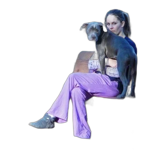 staff, animal, creature, furniture transparent PNG cut-out