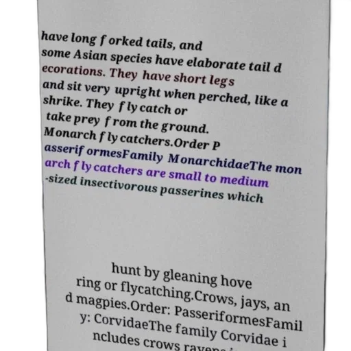 jacket, text-based, image, describing, bird, species, long, forked transparent PNG cut-out