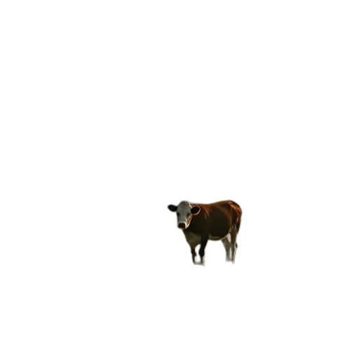 animal, creature, food, robot transparent PNG cut-out