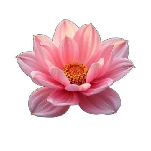 flower, crown, jewelry, staff transparent PNG cut-out