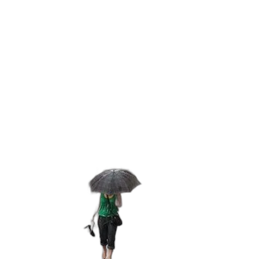 umbrella, dress, staff, jacket, pixel art, concept art, 3d render, photorealistic transparent PNG cut-out