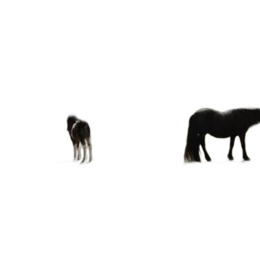animal, hair, furniture, creature, concept art, 3d render, pixel art, photorealistic transparent PNG cut-out