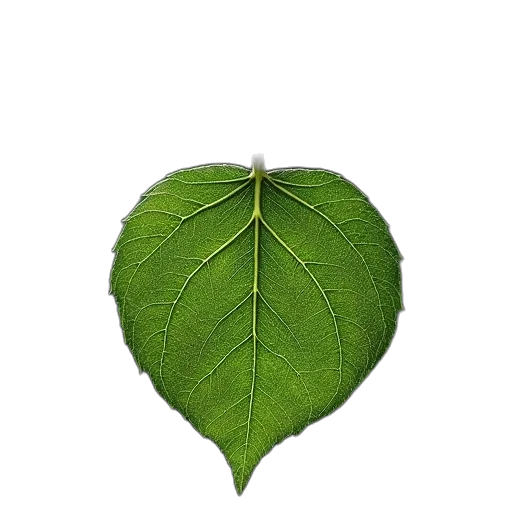 tree, crown, staff, flower transparent PNG cut-out