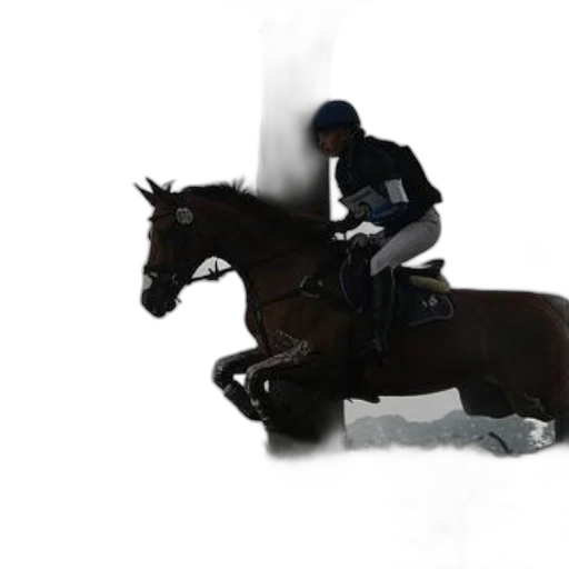 animal, photorealistic, concept art, 3d render, fantasy art, horse, rider, jump transparent PNG cut-out