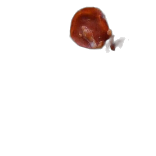 food, animal, creature, hair, 3d render, photorealistic, concept art, close-up transparent PNG cut-out