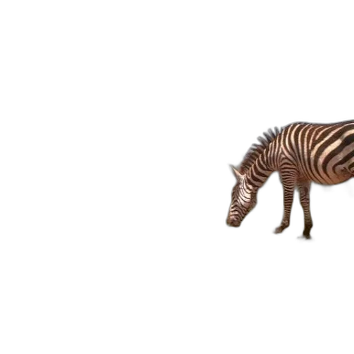 animal, creature, furniture, shoes transparent PNG cut-out