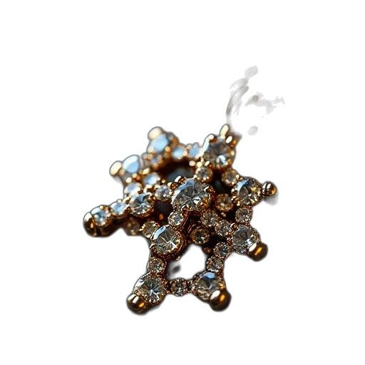 jewelry, crown, staff, jacket transparent PNG cut-out