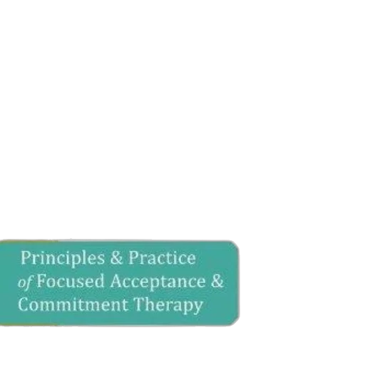 brief, interventions, radical, change, principles, practice, focused, acceptance transparent PNG cut-out