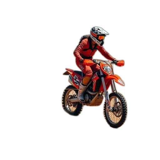 animal, jacket, 3d render, pixel art, photorealistic, concept art, motocross, racer transparent PNG cut-out