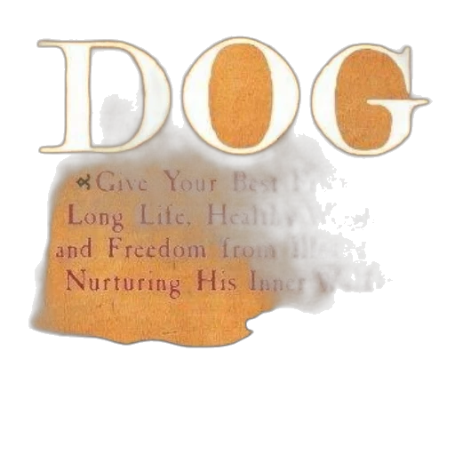 food, animal, fog, cover, paleo, dog, ian, billinghurst transparent PNG cut-out