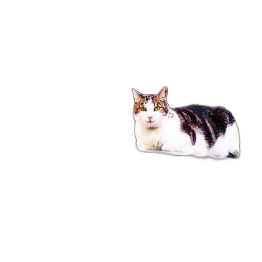 animal, creature, food, crown, 3d render, photorealistic, pixel art, vaporwave transparent PNG cut-out