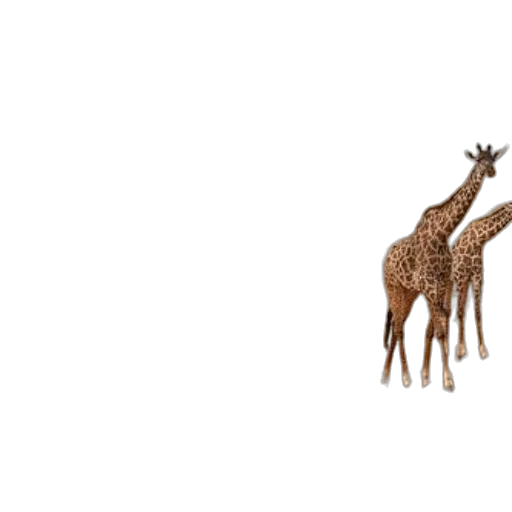 animal, creature, furniture, crown, 3d render, pixel art, concept art, photorealistic transparent PNG cut-out