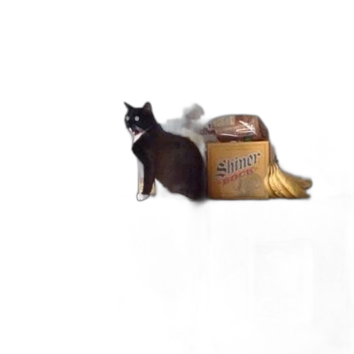 hat, animal, shoes, food transparent PNG cut-out