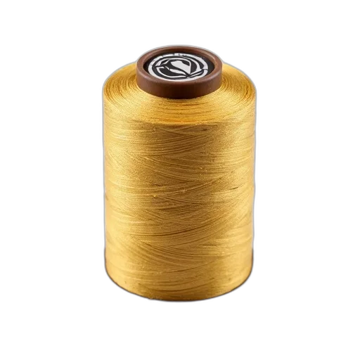 hair, dress, jewelry, jacket, golden, earth tones, close-up, image transparent PNG cut-out
