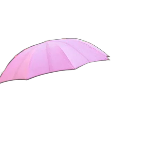 umbrella, hat, flower, weapon, vaporwave, 3d render, concept art, photorealistic transparent PNG cut-out