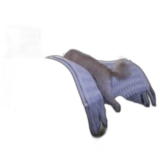 shoes, umbrella, mask, hat, 3d render, photorealistic, dog, jumping transparent PNG cut-out