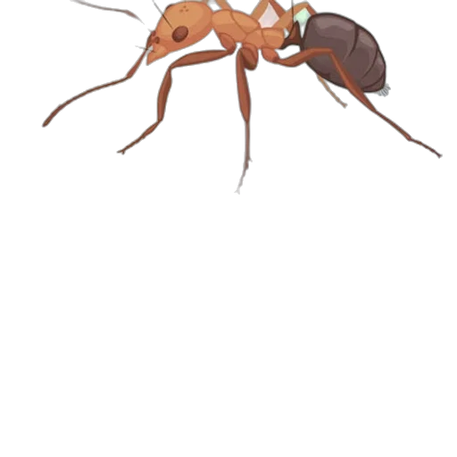 animal, creature, concept art, pixel art, 3d render, earth tones, illustration, ant transparent PNG cut-out