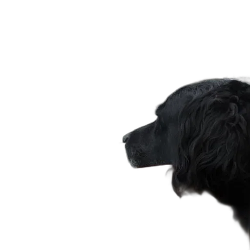 animal, staff, face, creature, photorealistic, 3d render, concept art, black transparent PNG cut-out