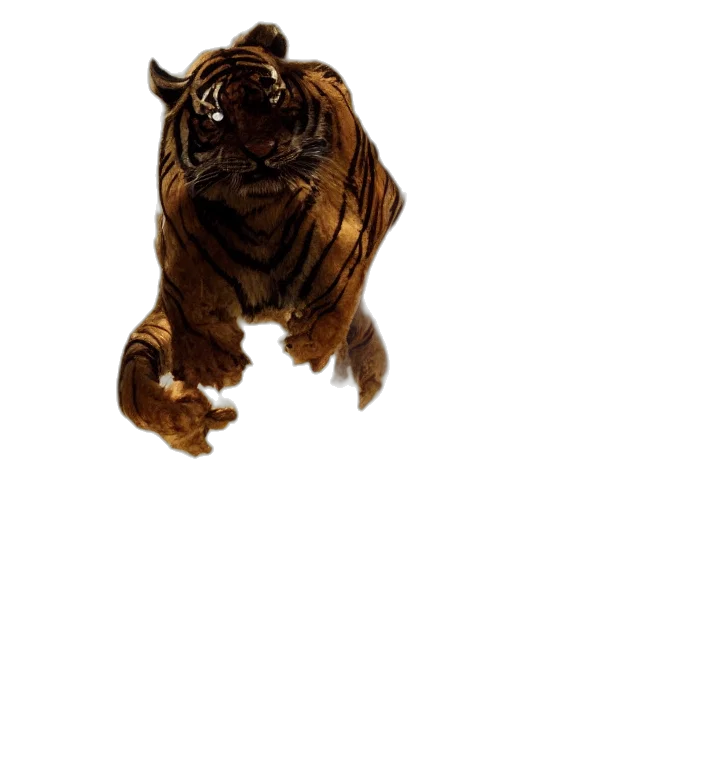 animal, creature, staff, mask transparent PNG cut-out