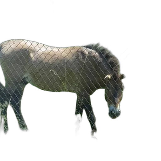 animal, creature, dragon, hair, 3d render, photorealistic, concept art, vaporwave transparent PNG cut-out
