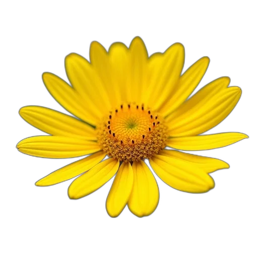 flower, crown, staff, jewelry, photorealistic, 3d render, oil painting, concept art transparent PNG cut-out