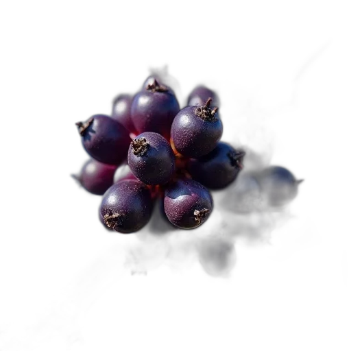 crown, food, jewelry, flower, photorealistic, 3d render, oil painting, concept art transparent PNG cut-out
