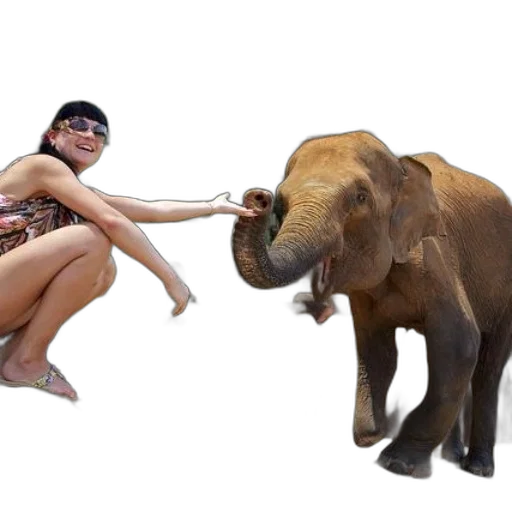 animal, creature, photorealistic, 3d render, concept art, woman, colorful, swimsuit transparent PNG cut-out